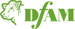 DfAM